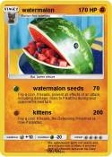 watermalon