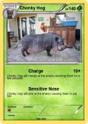 Chonky Hog