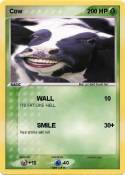 Cow