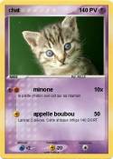 chat