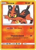 torracat