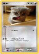 Kitten