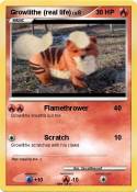 Growlithe (real