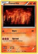 Forest Fire