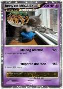 funny cat MEGA
