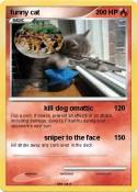 funny cat
