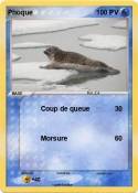 Phoque