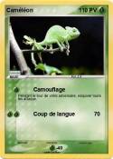Caméléon