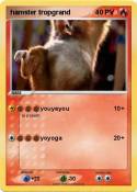 hamster tropgra