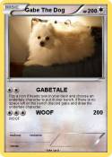 Gabe The Dog