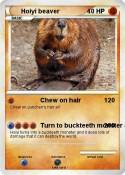 Hoiyi beaver