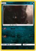 Nibba Cat