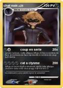 chat noir