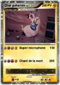 Chat guitariste