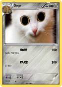 Doge