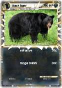 black baer