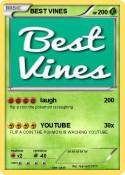 BEST VINES