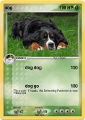 dog