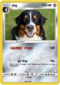 dog