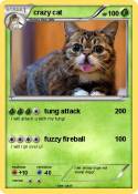 crazy cat