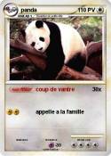 panda