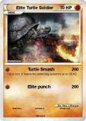 Elite Turtle