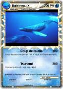 Baleineau X
