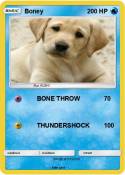 Boney