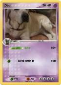 Dog