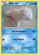 Seal Cute