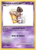 samoyède-mastiff