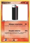 Briquet Noir