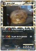 gros chat