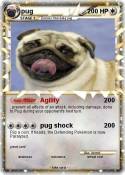 pug