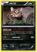 cute cat
