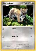 tiger cub