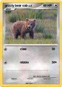 grizzly bear