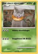 chat c0incé