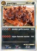 grand tigre