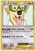 Lab Dog