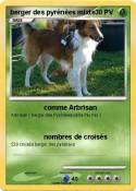 berger des
