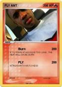 FLY ANT