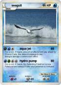 seagull