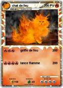 chat de feu