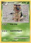 berger allemand