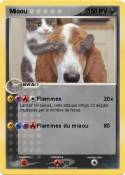 Miaou