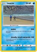beache