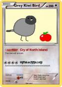 Grey Kiwi Bird
