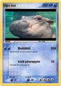 Hipo boi