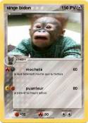 singe bidon